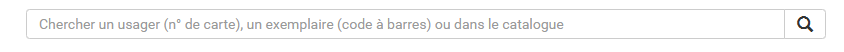 copie d'écran de la recherche simple