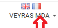 copie d'écran du logo des drapeaux français et anglais sur le logiciel